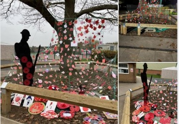 Photos showing the wonderful display of poppies at our Tollfield campus